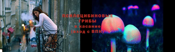 герыч Алексин