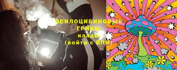 МДПВ Алзамай